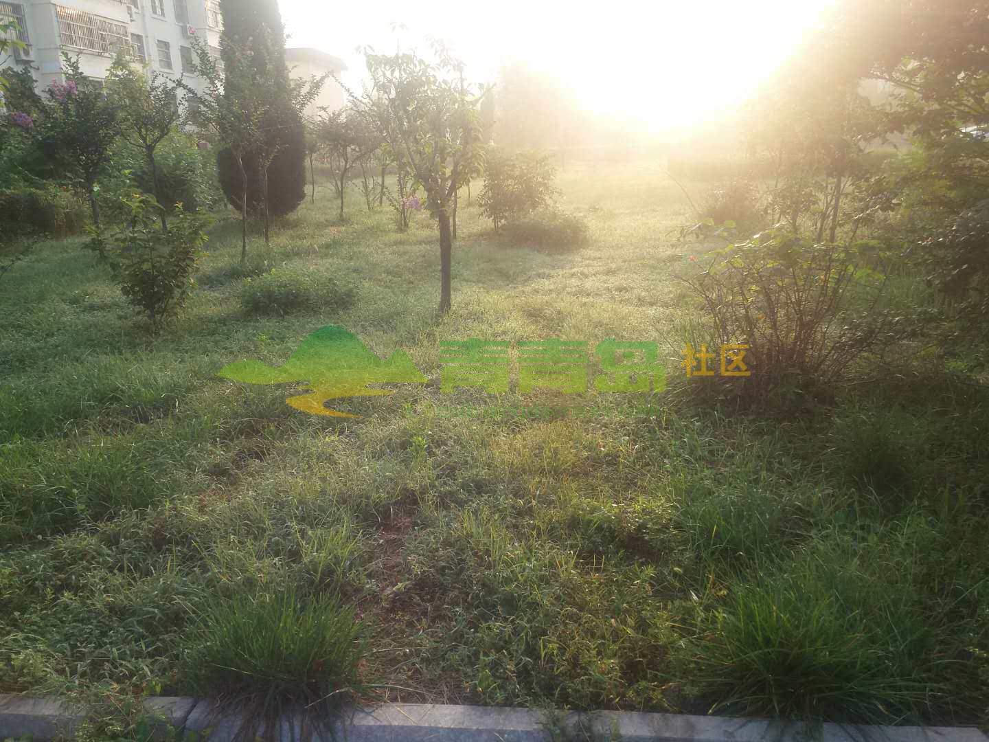 1752856145