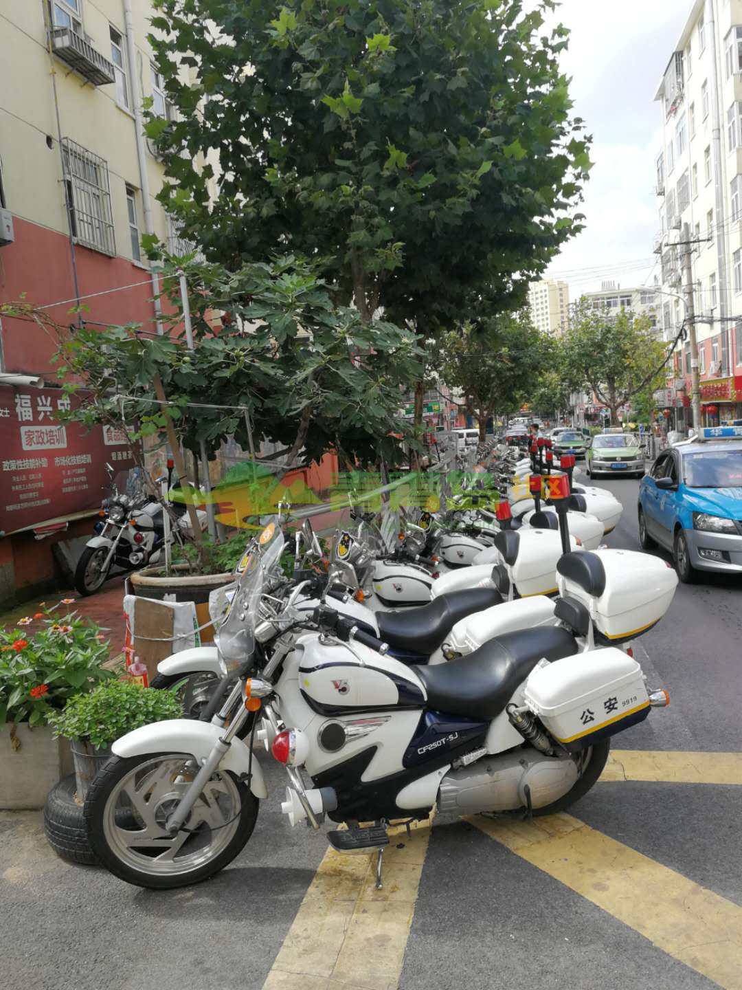 1753064256