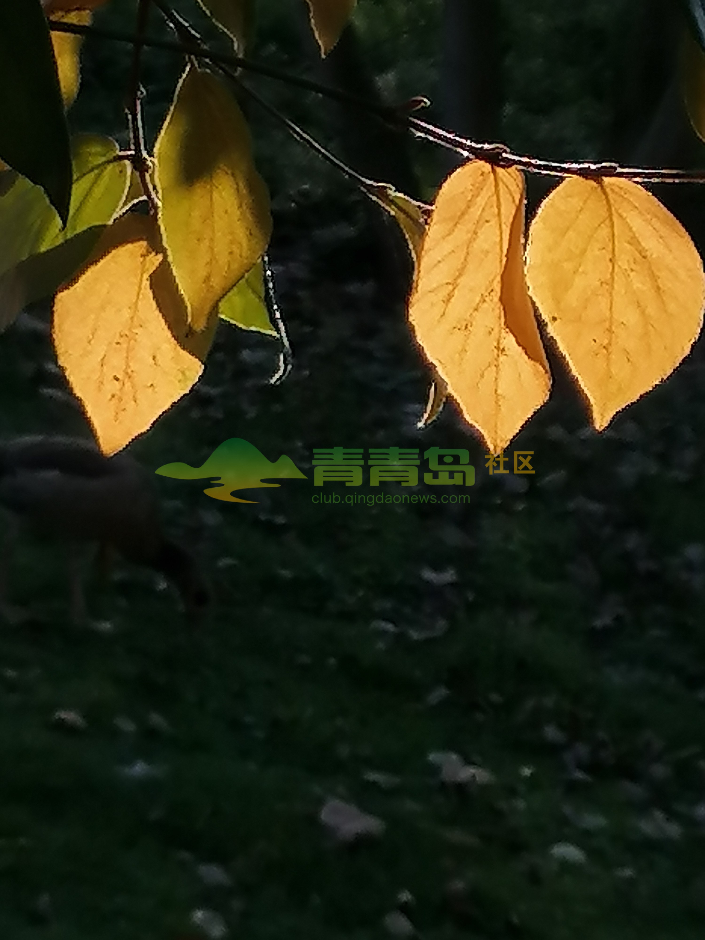 1752881940
