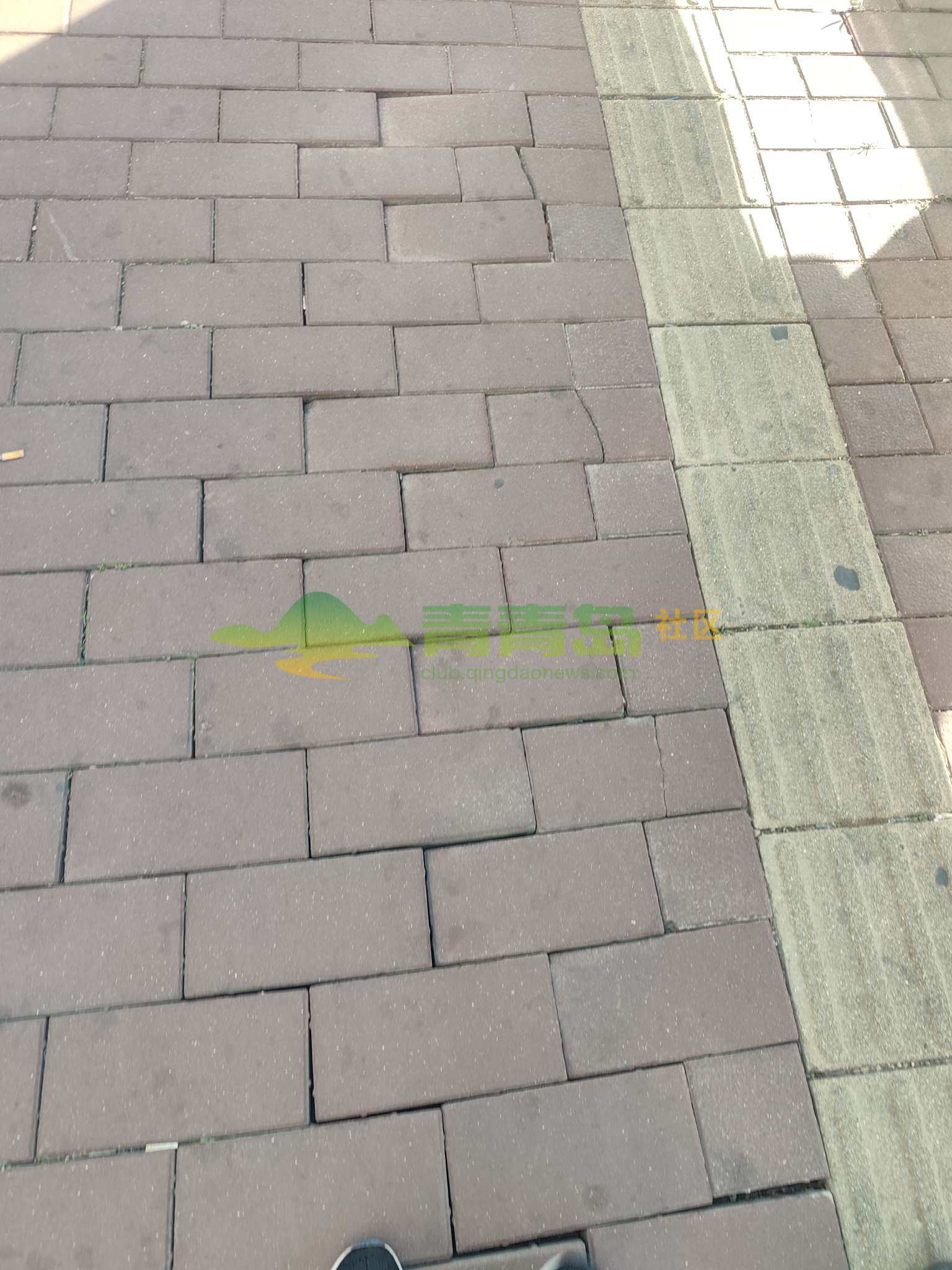 1779109545