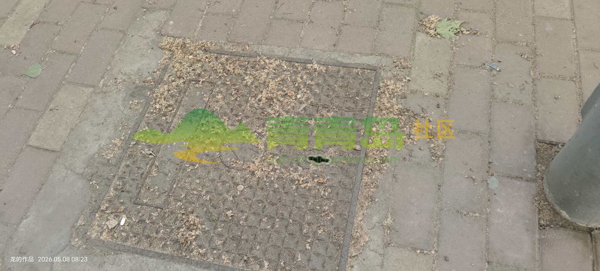1778986275