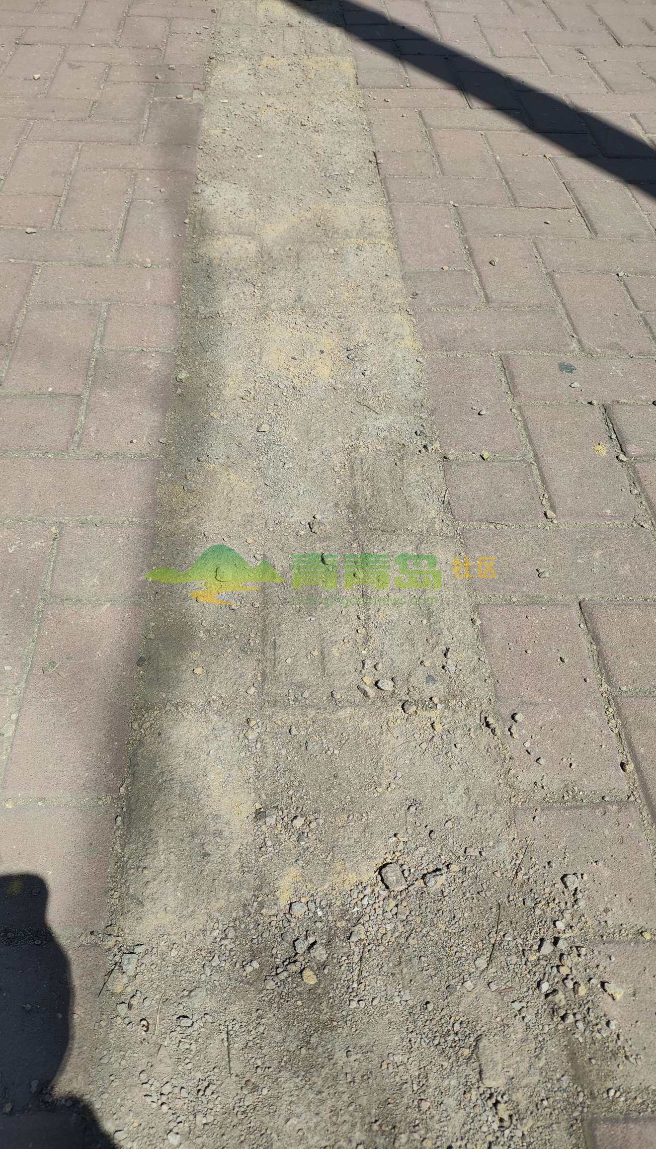 1775455692