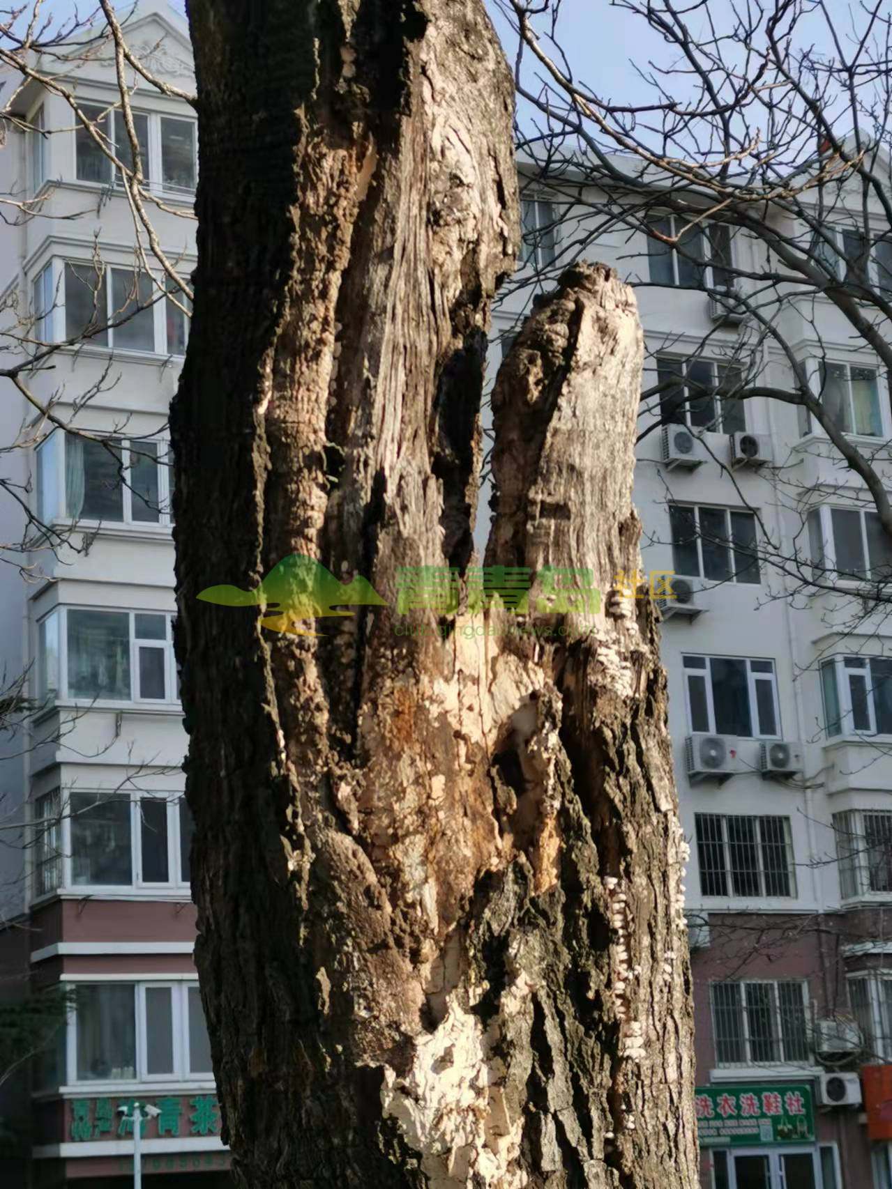 1752897538