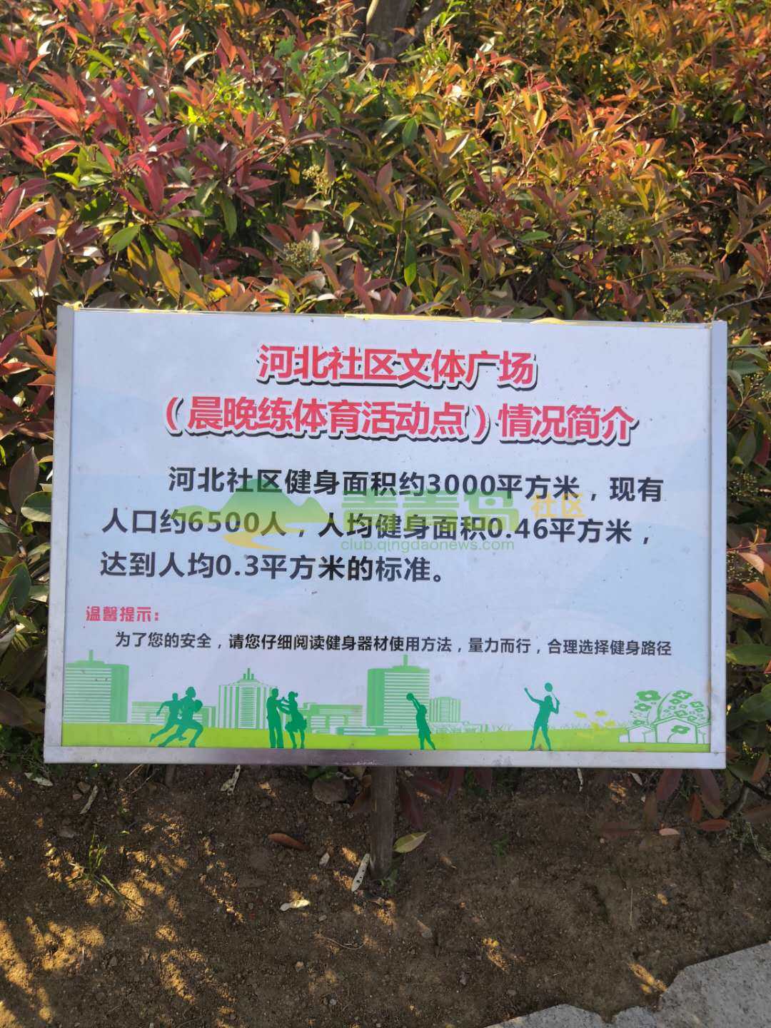 1755121719