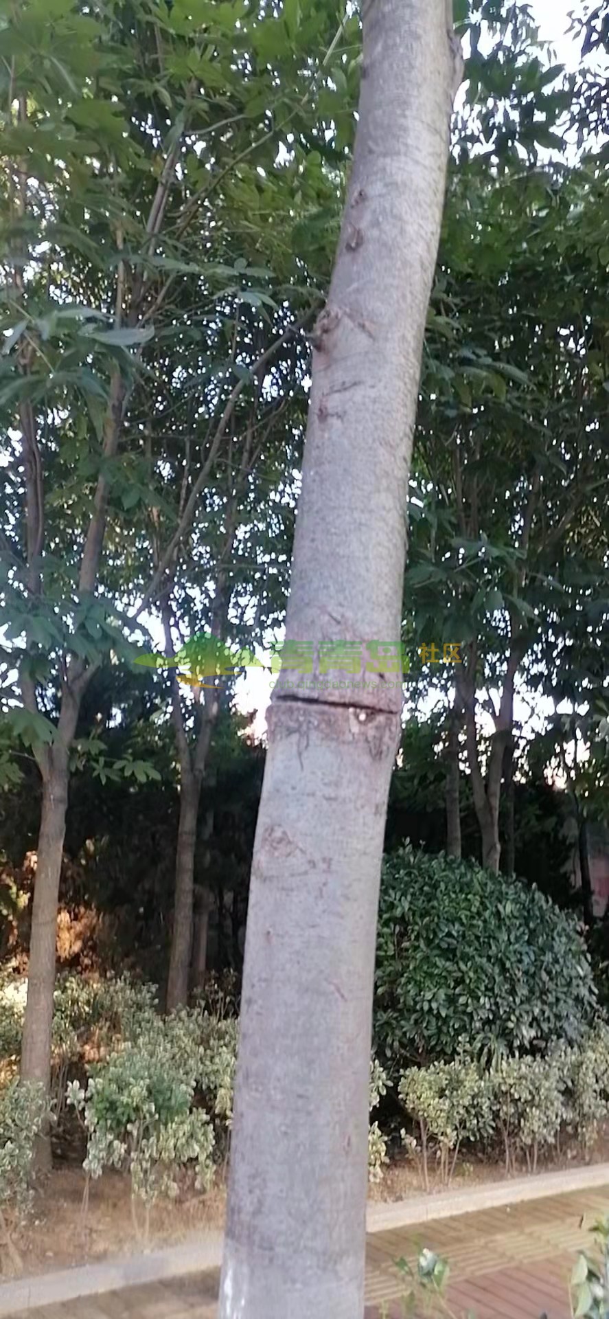 1753077328