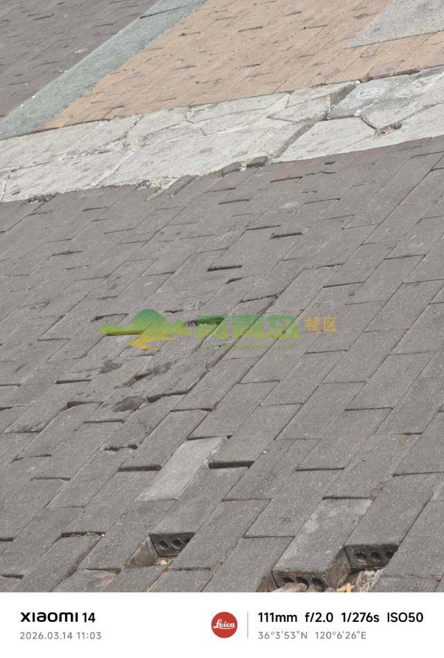 1773732219