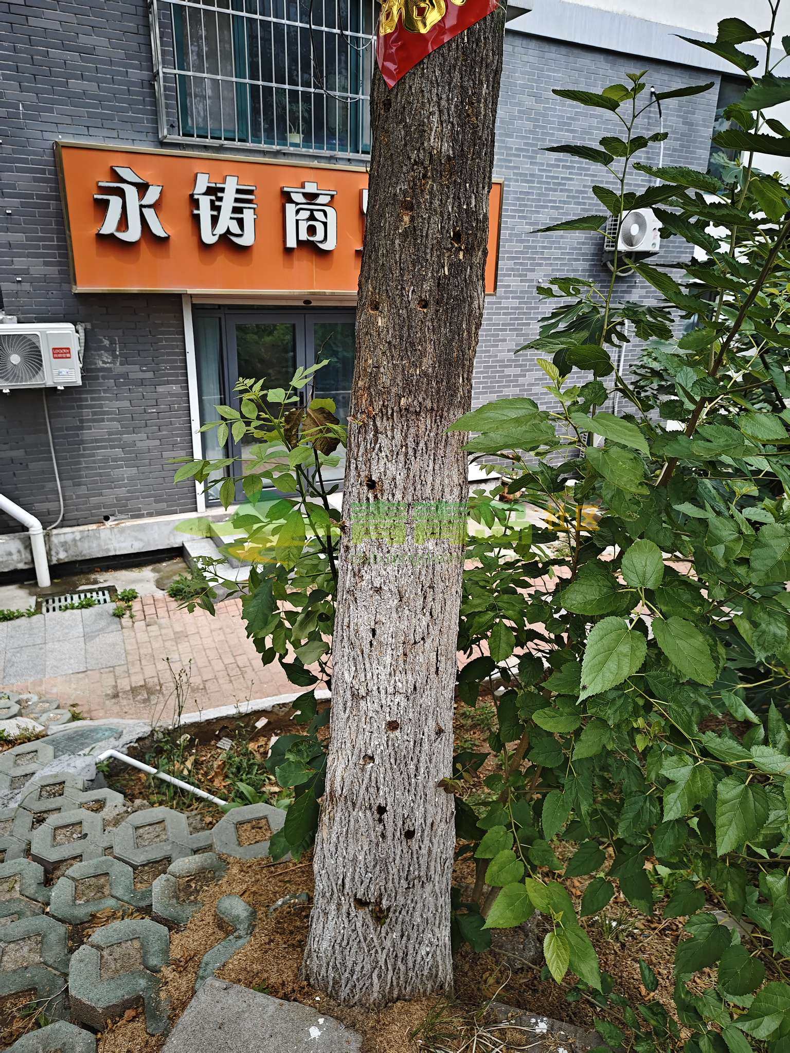 1753159644
