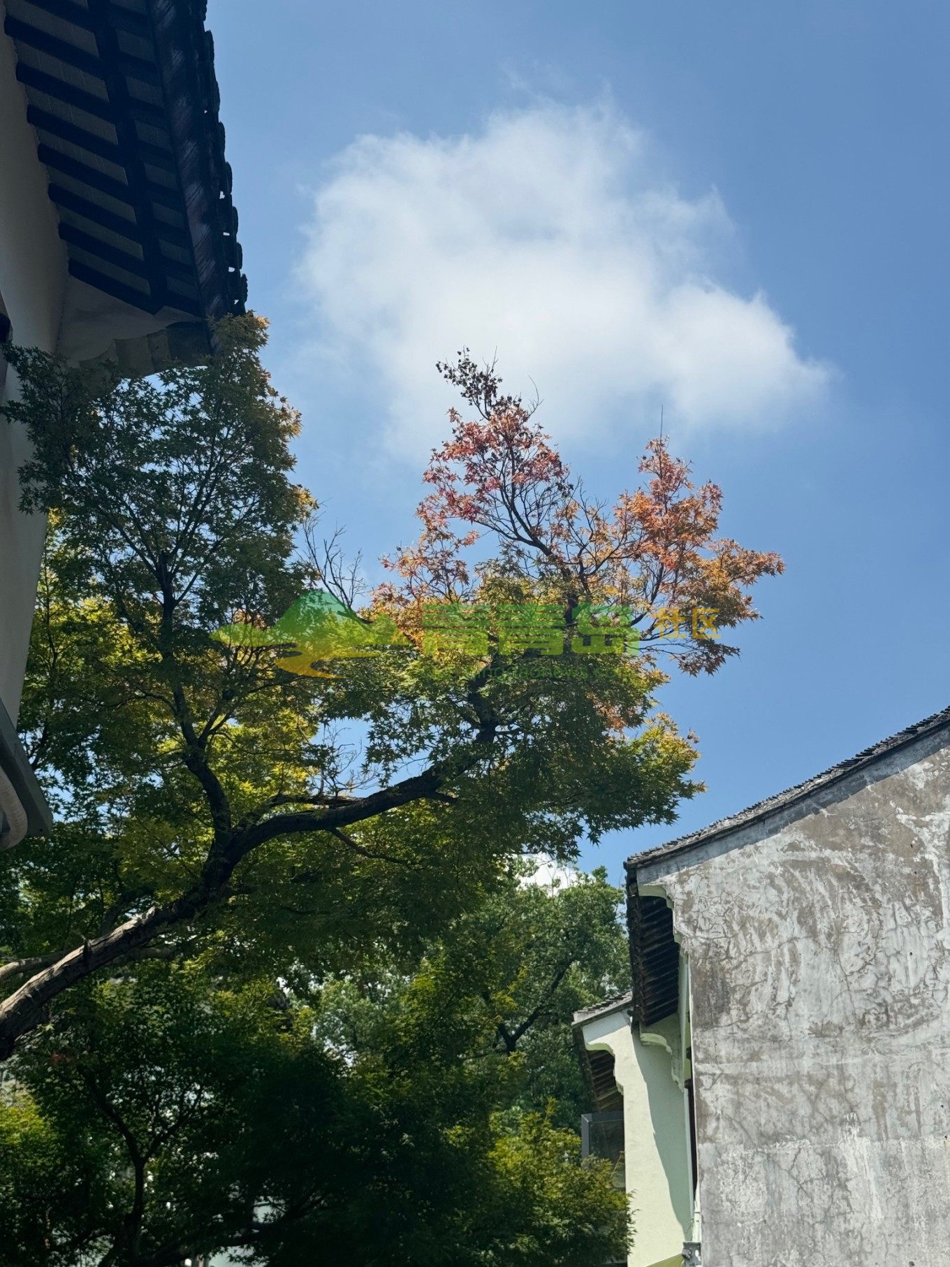 1758532038