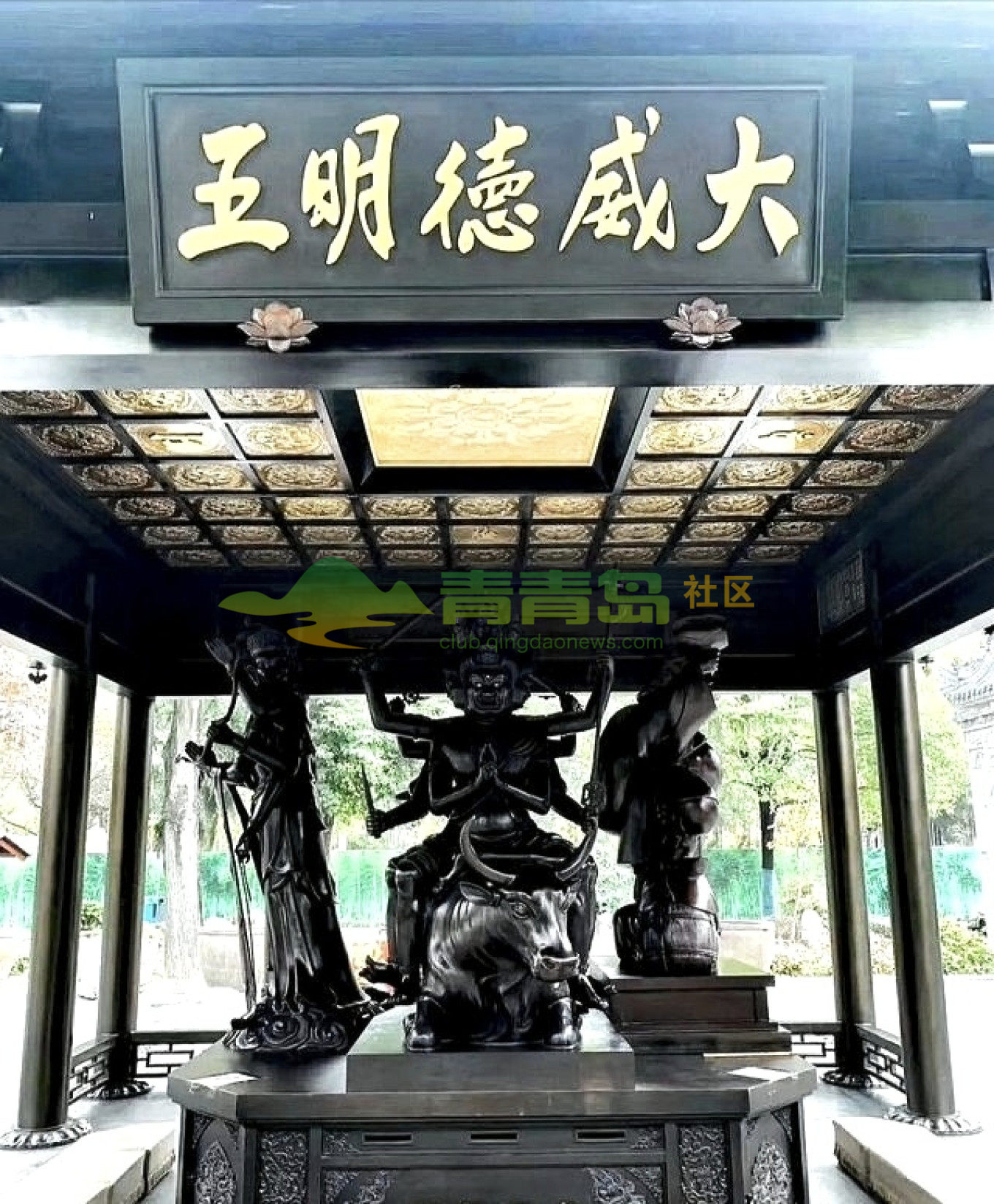 1779045466