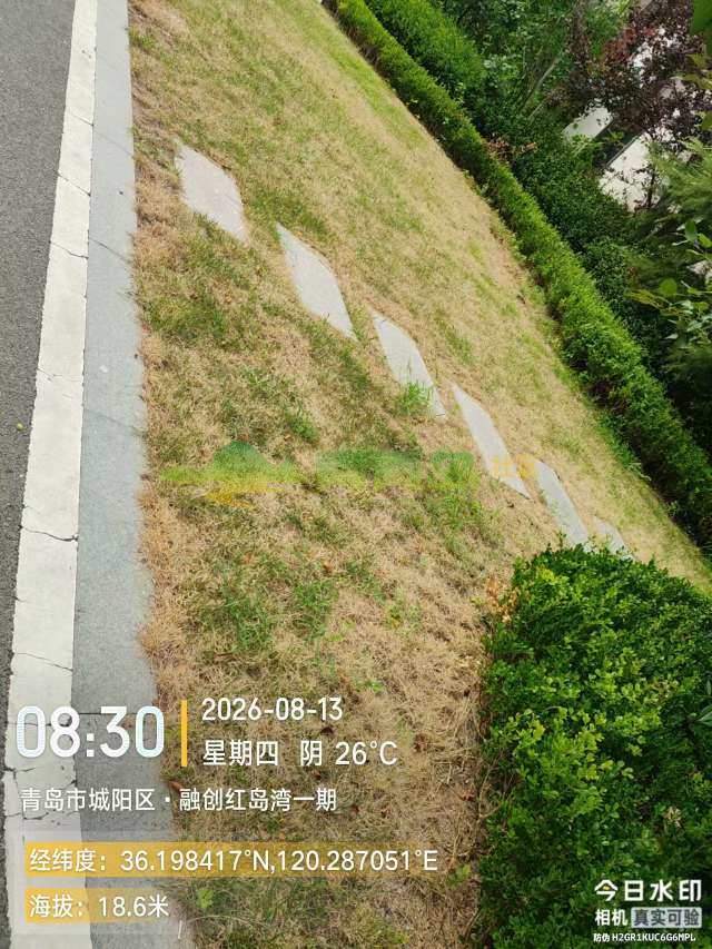 1787544581