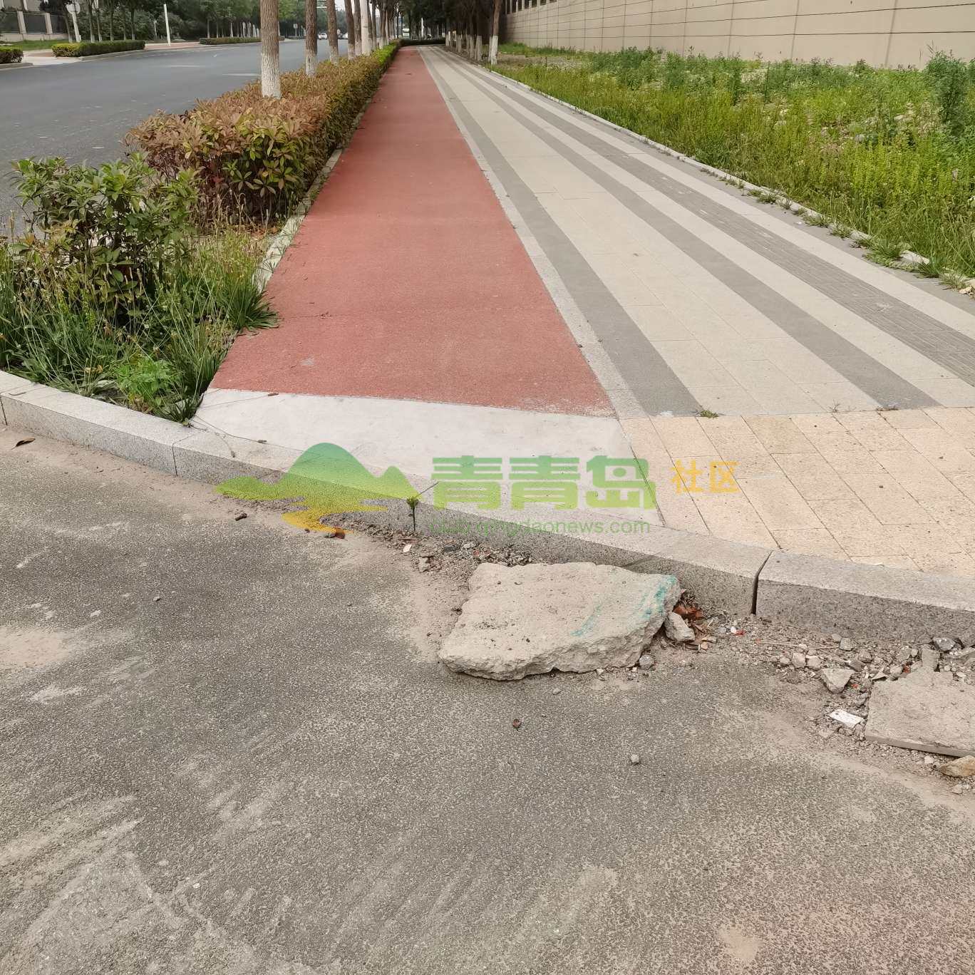1783866649