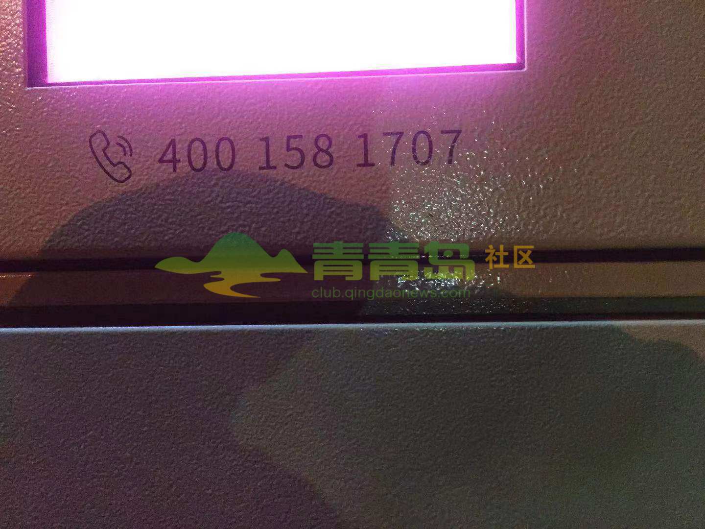 1775498213