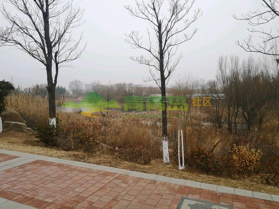 1753106532