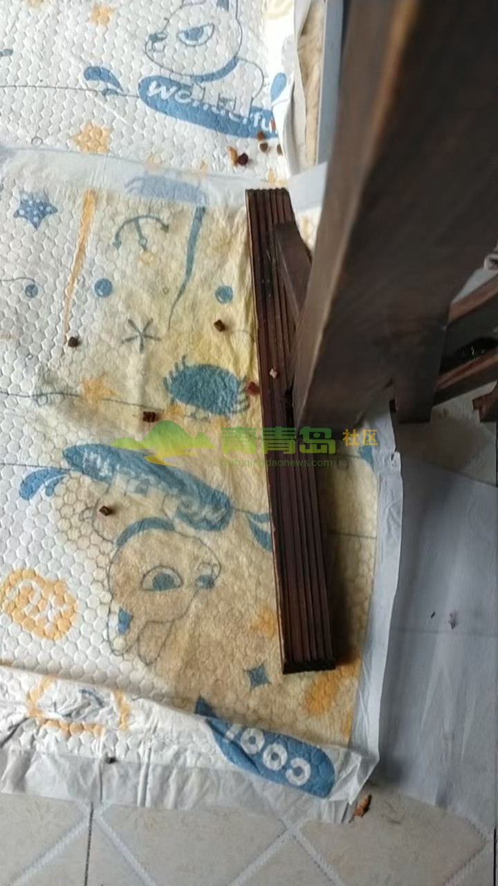 1754167904