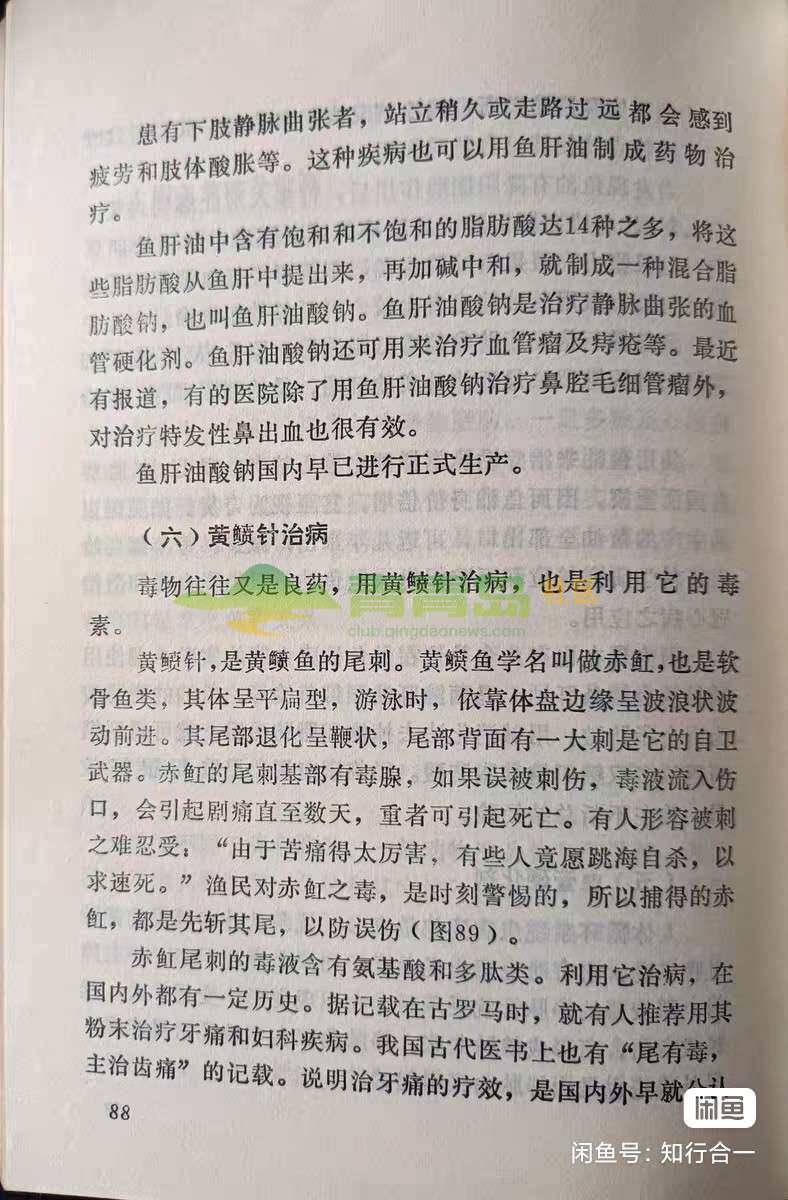 1774901564