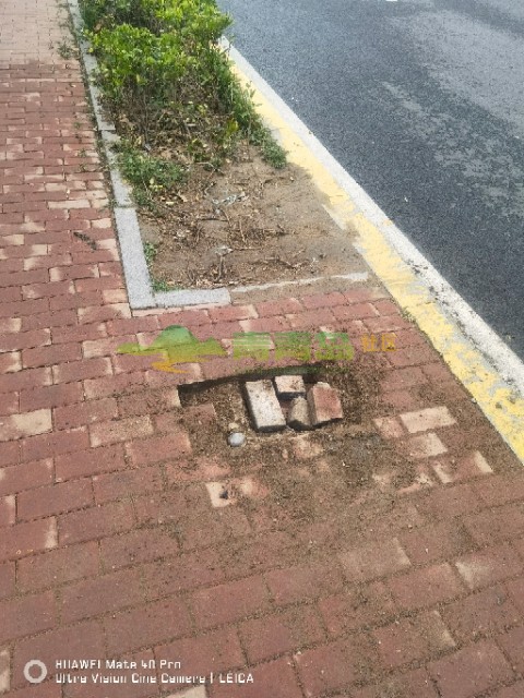 1754243308