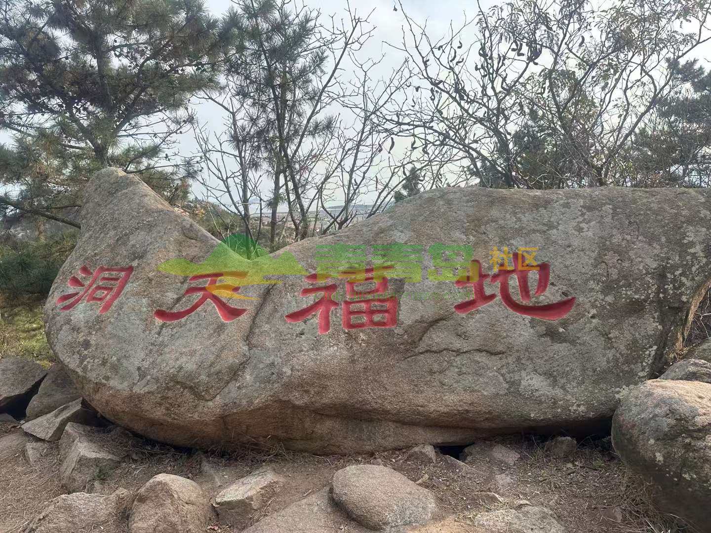 1775394386