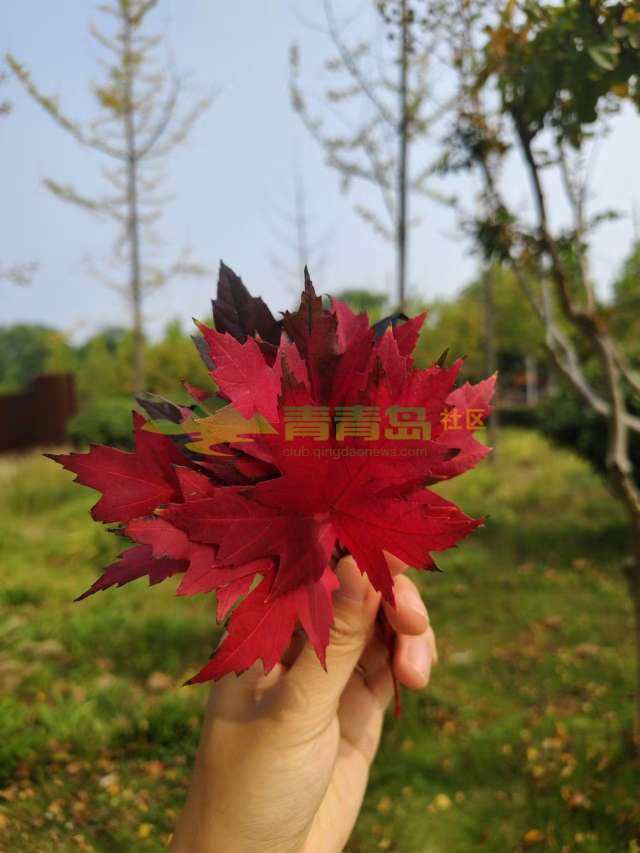 1754825445
