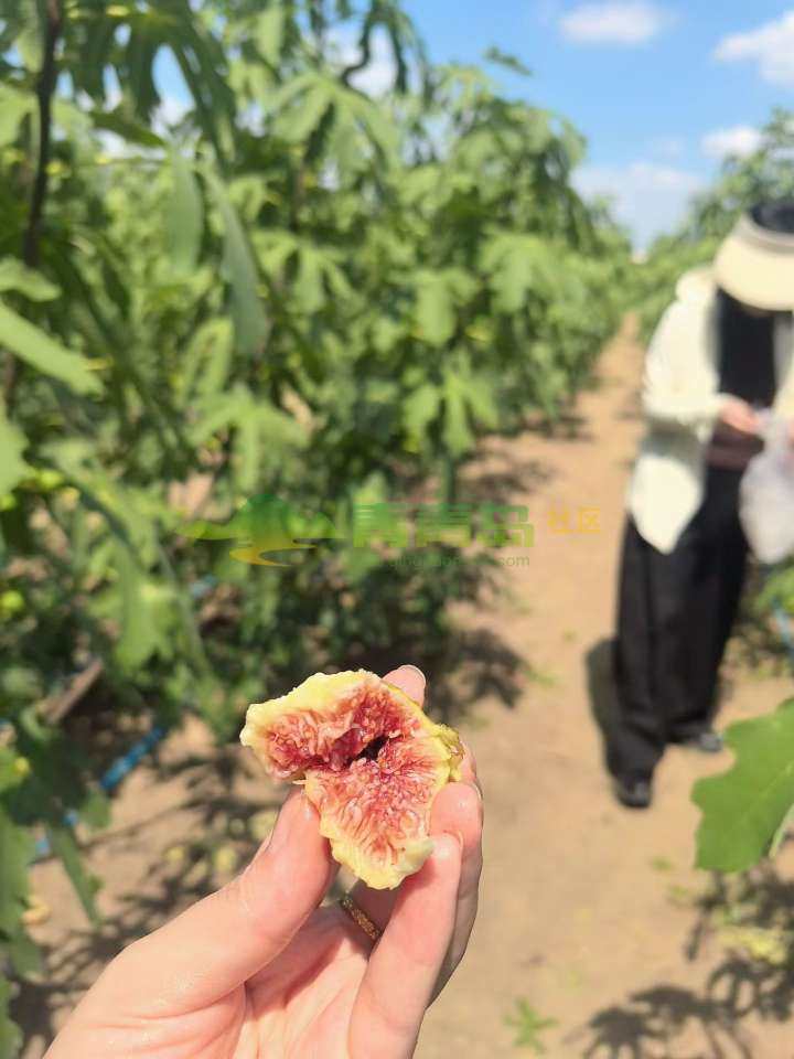 1789065618