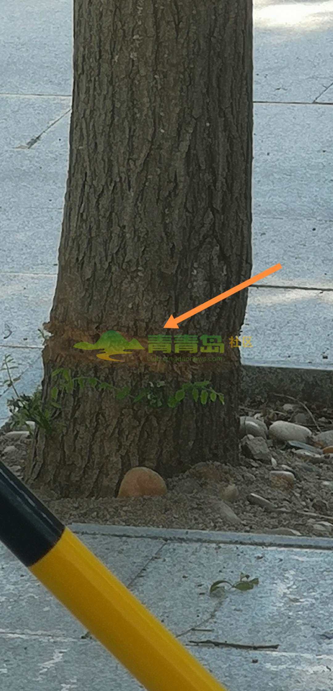 1775410001