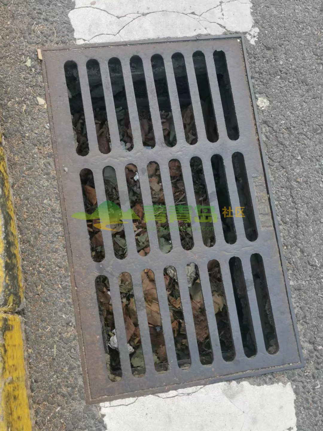 1775317420