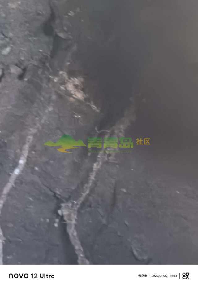1770048029