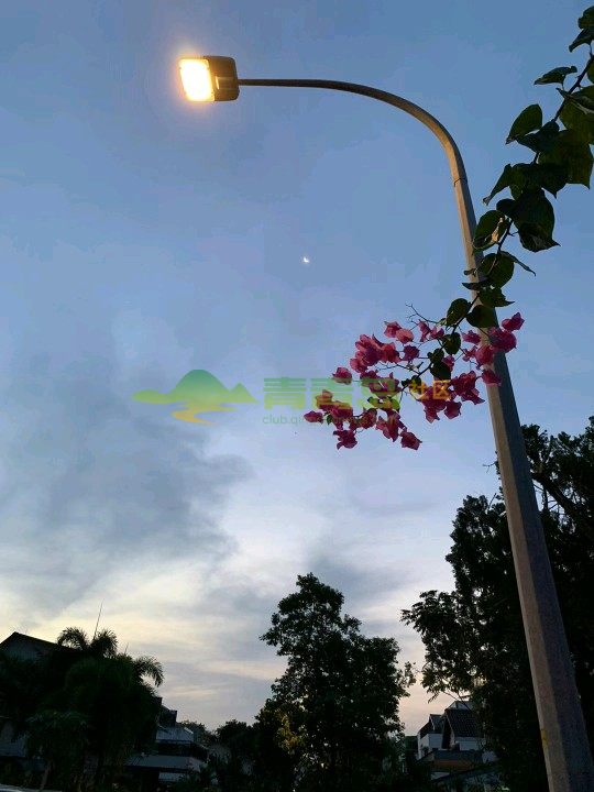1752794164
