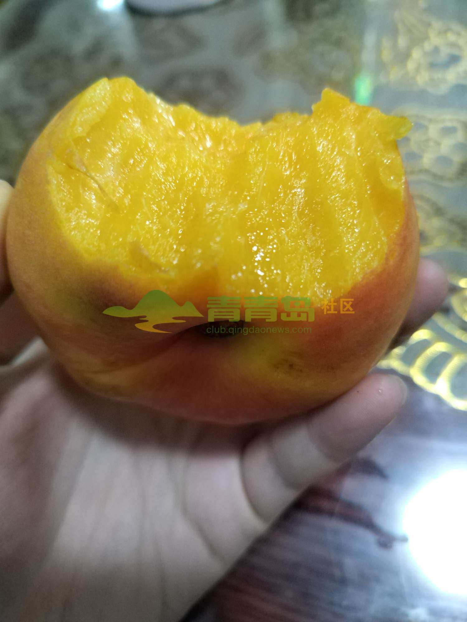 1754462535