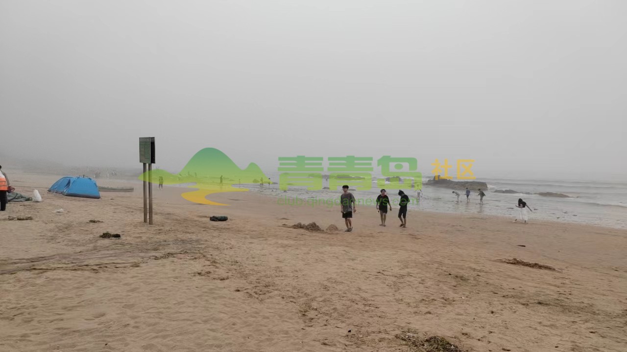 1775099231