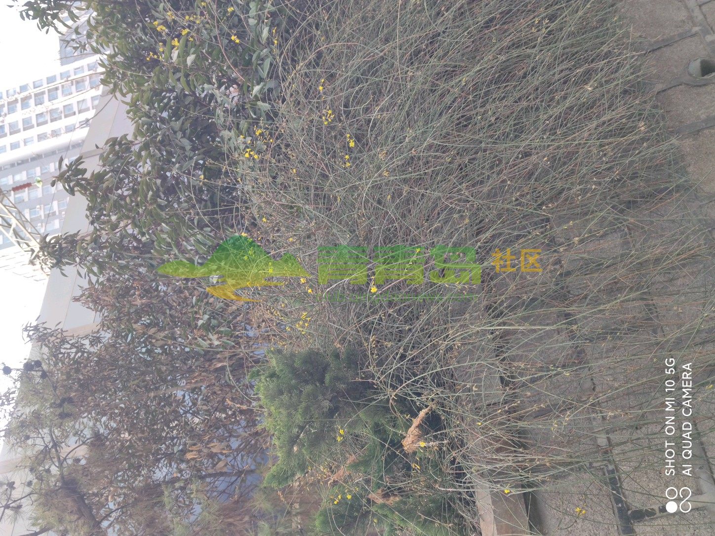 1754170967