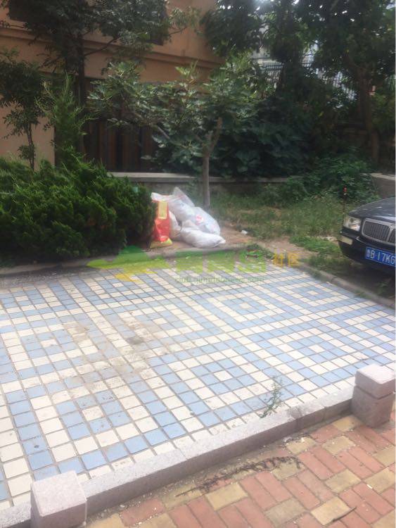 1767557066