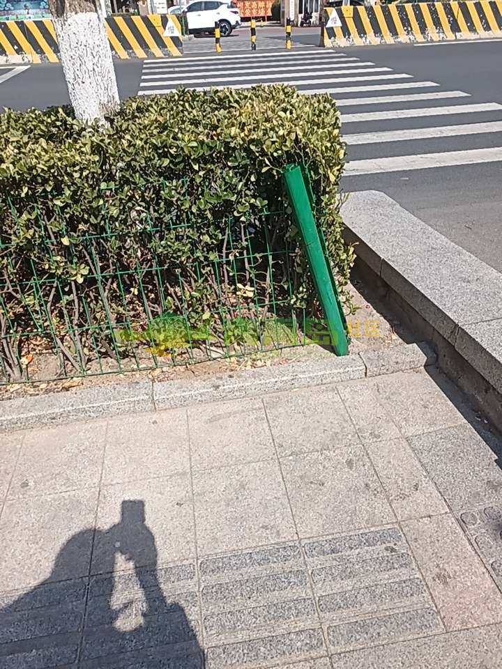 1775284993