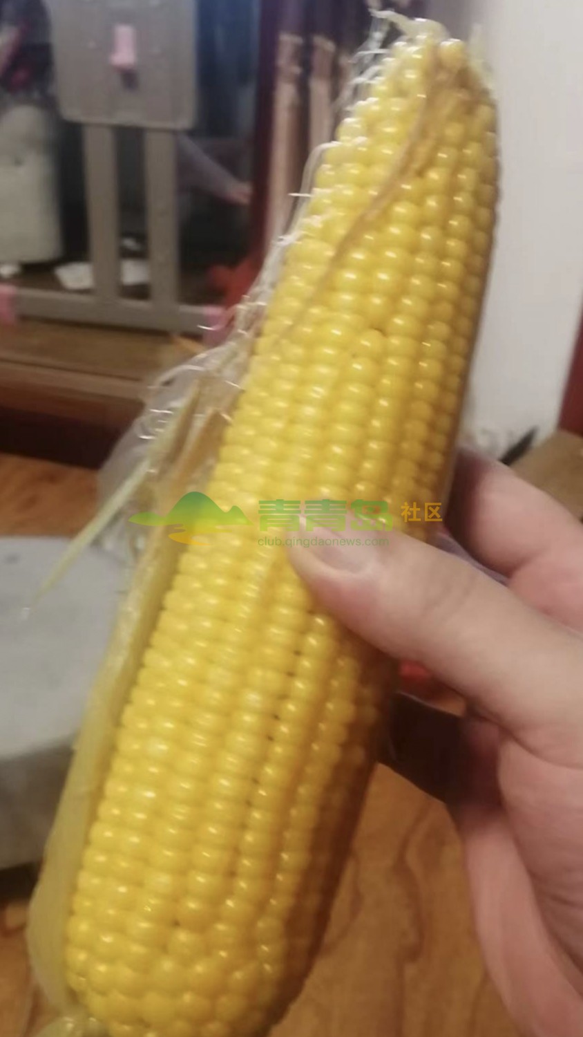 1754266311