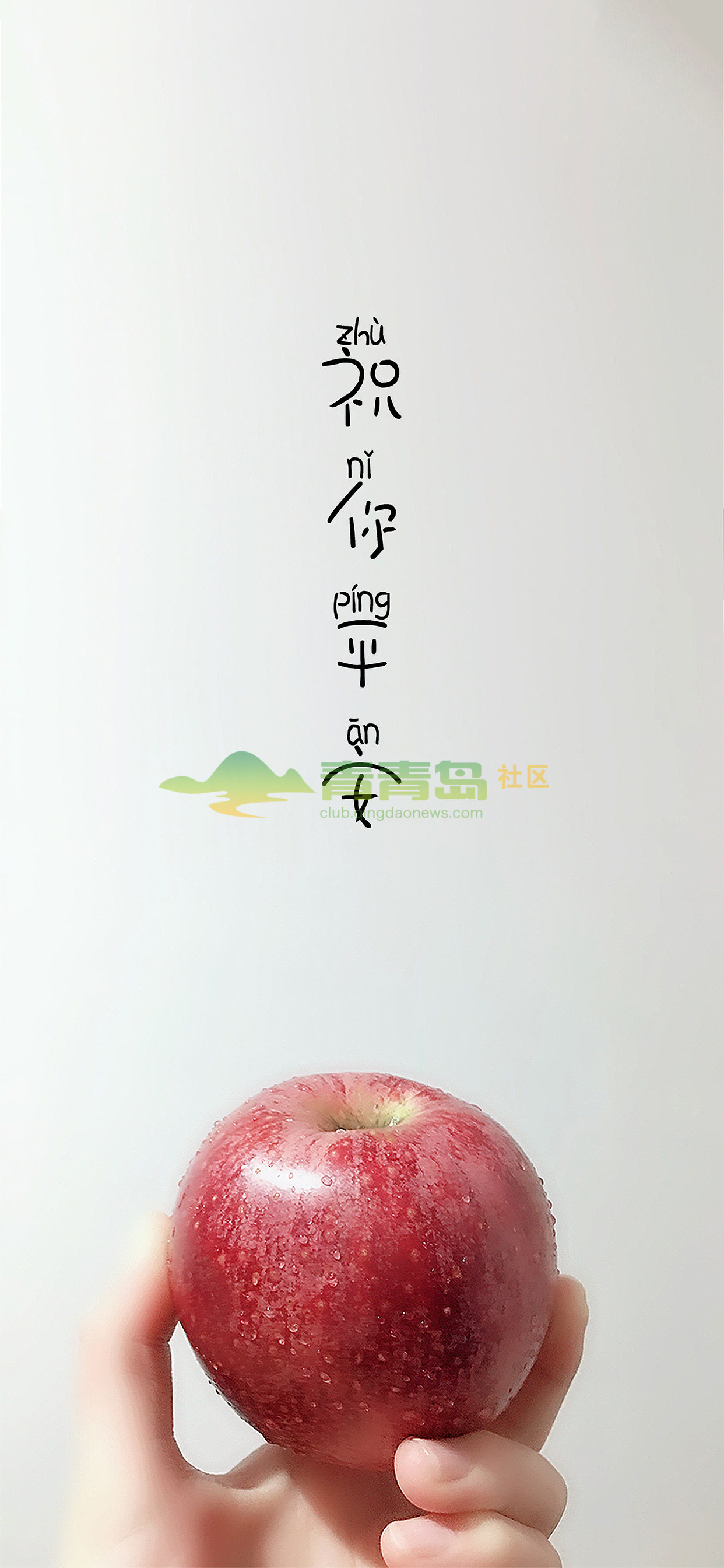 什么最好, 健康的身体最好,亲人的平安最好, 朋友的情义最