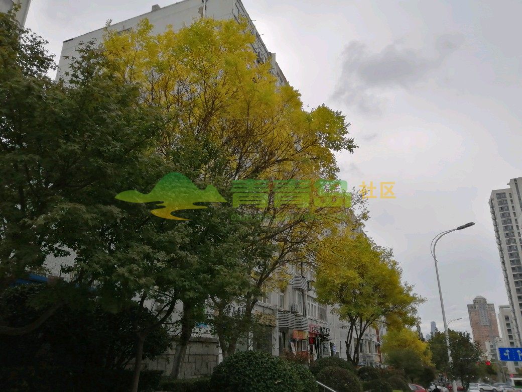 秋 从来不语 却丰收了世界 花 从来不言 却芬芳了人间 真诚