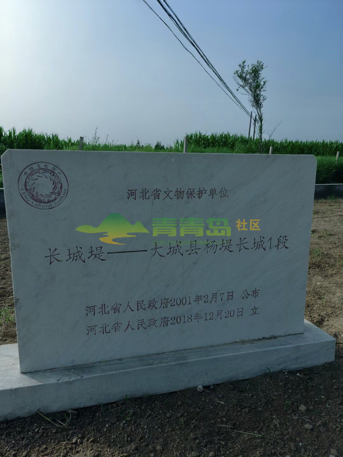1752795298