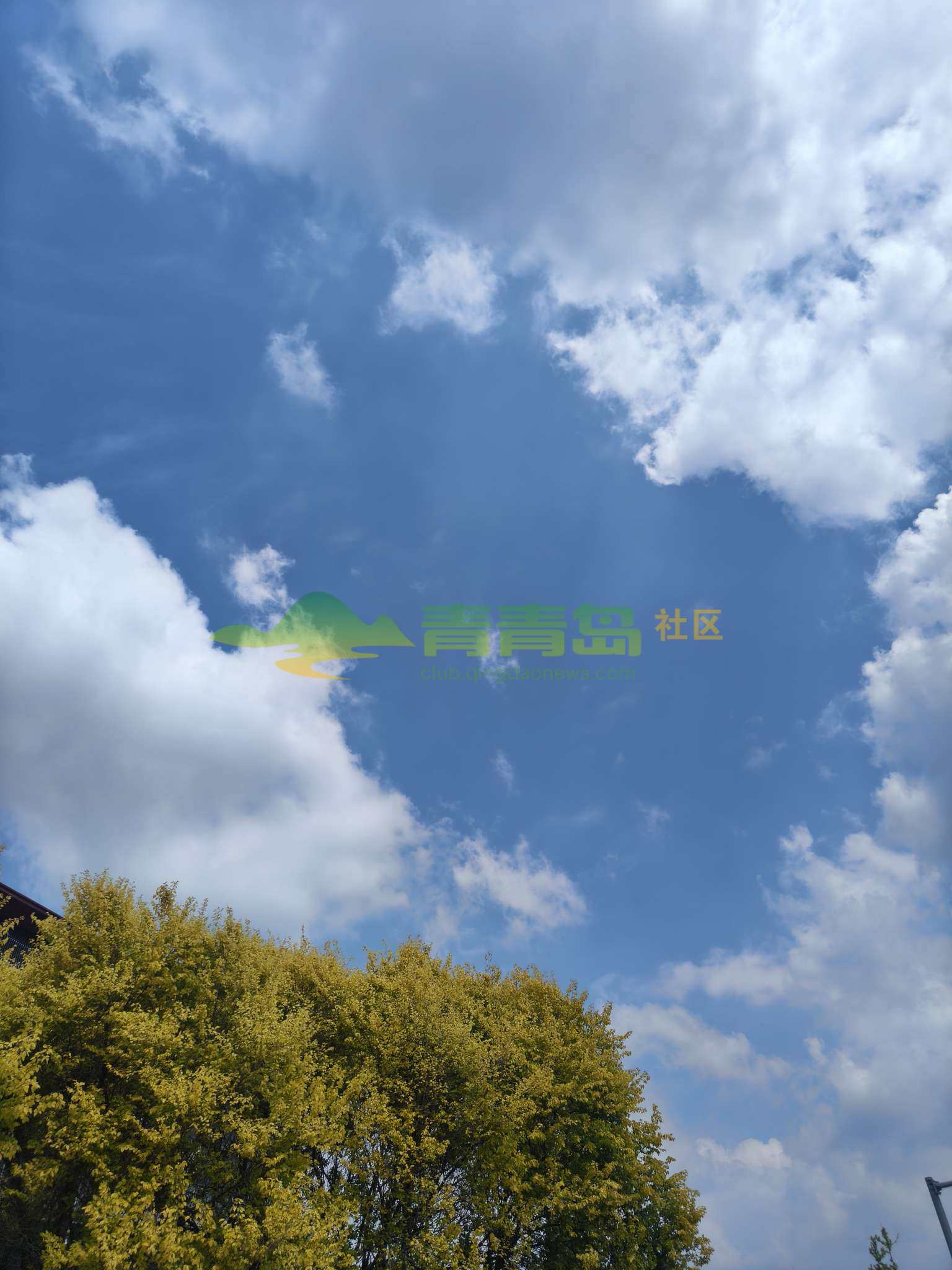 1753516078