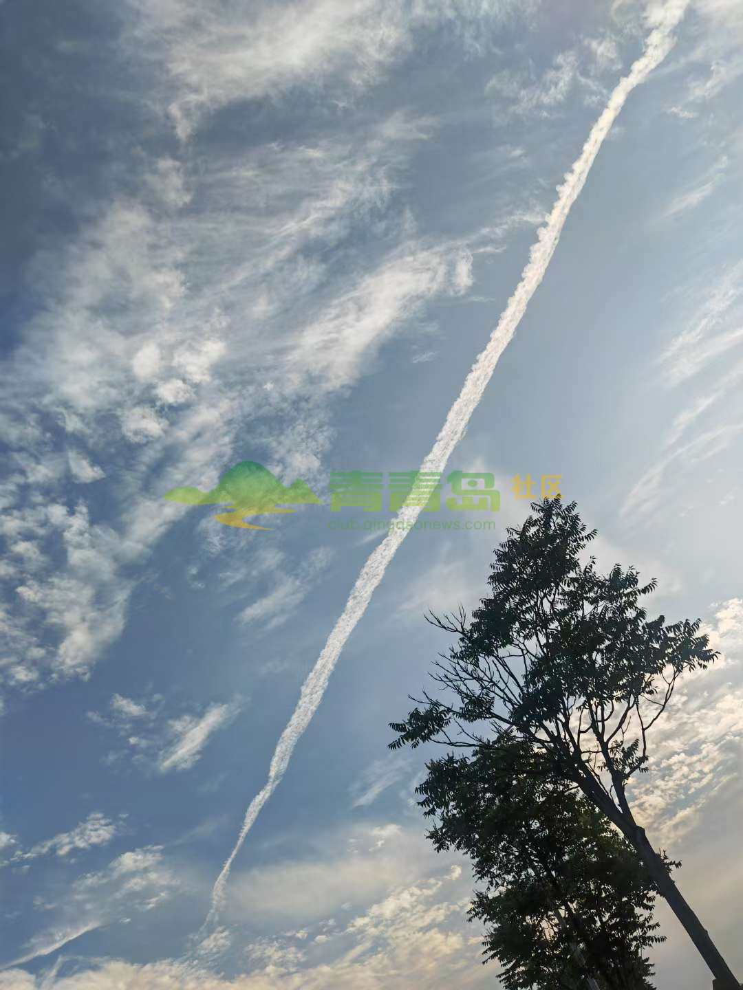1753152538