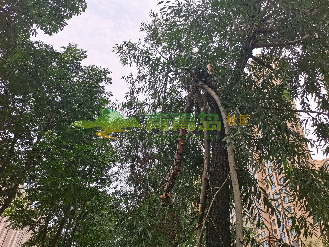 1778457385