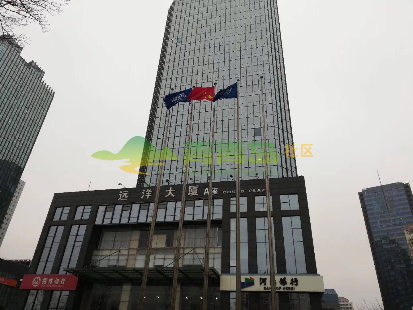 【爆料】今早的远洋广场-青青岛社区
